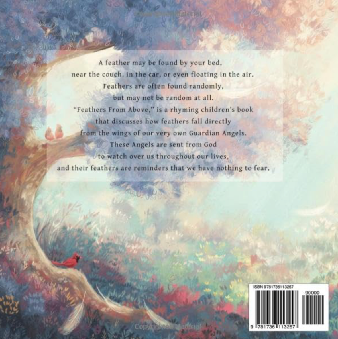 Feathers from Above Book
