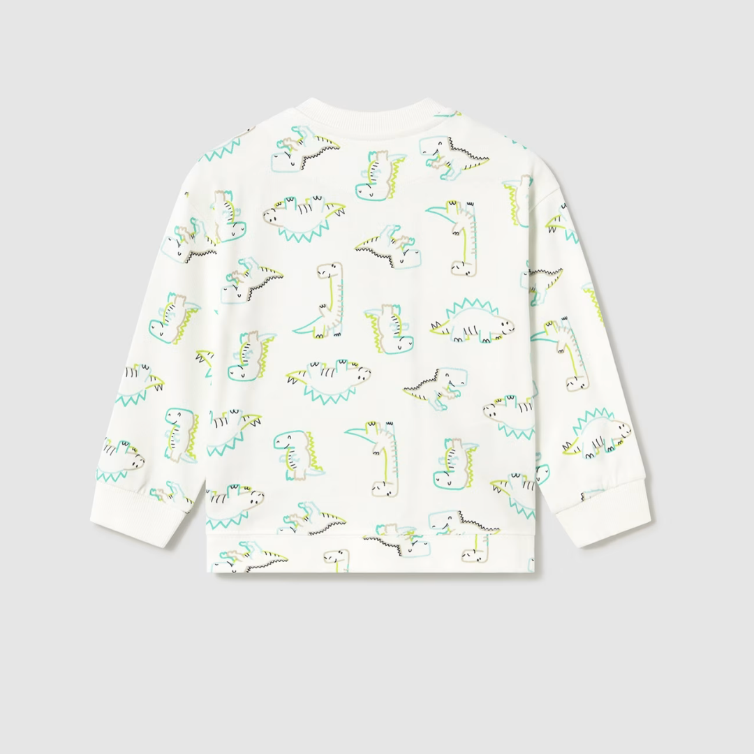 Boy’s dinosaur print cotton pullover sweater