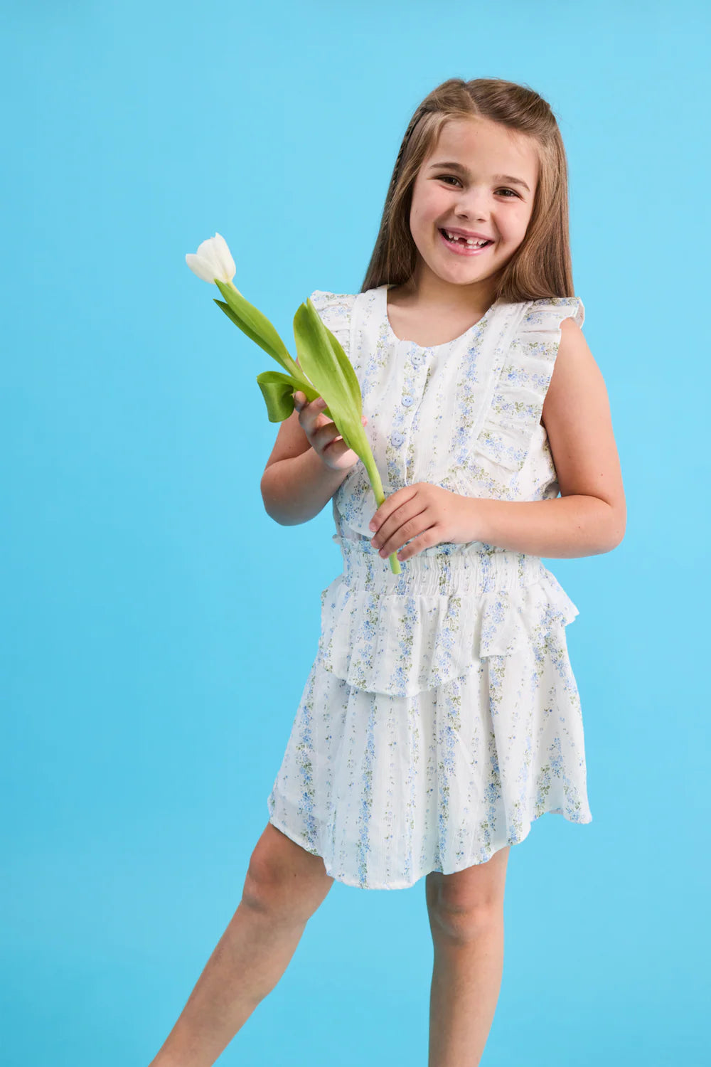 Pleat Secret Garden Jane Dress