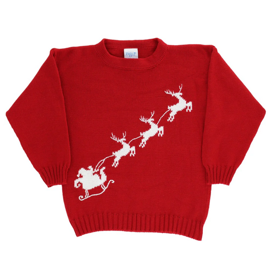 Bailey Boys Sleigh Sweater