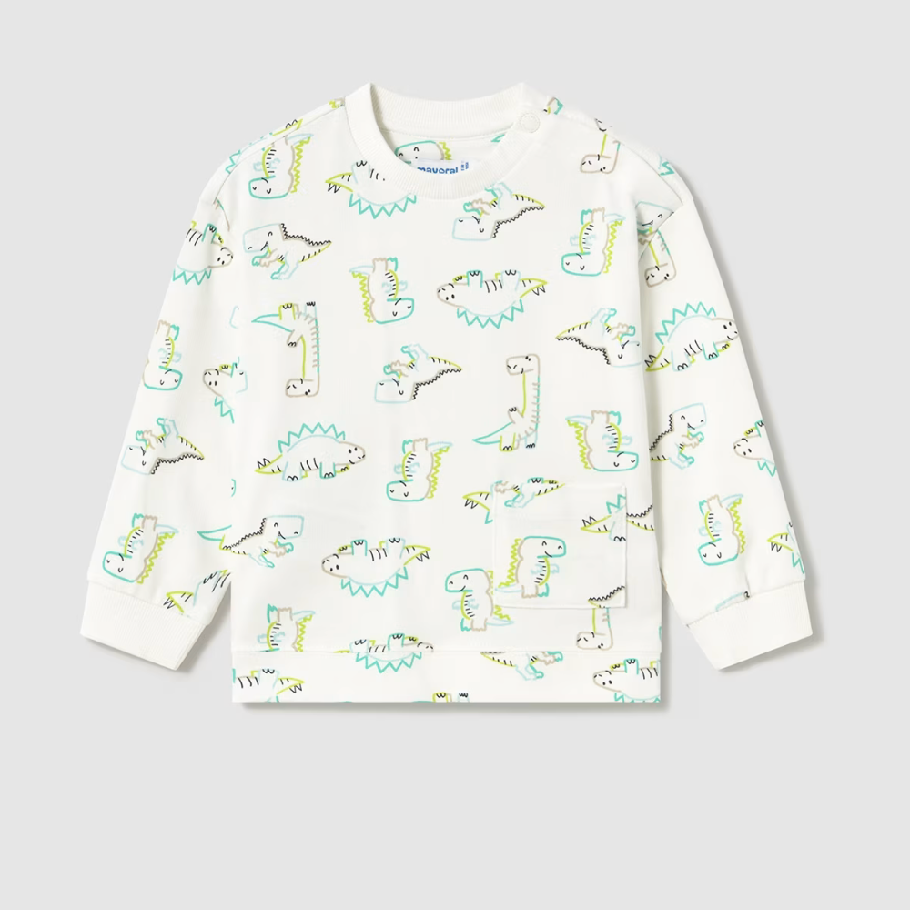 Boy’s dinosaur print cotton pullover sweater